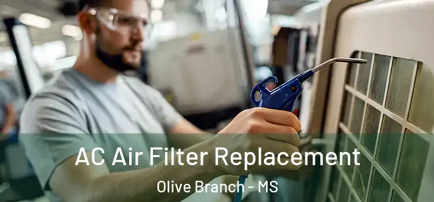  AC Air Filter Replacement Olive Branch - MS