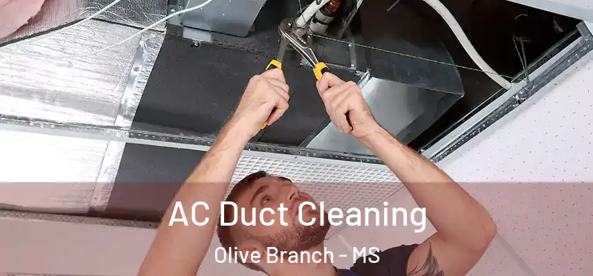  AC Duct Cleaning Olive Branch - MS