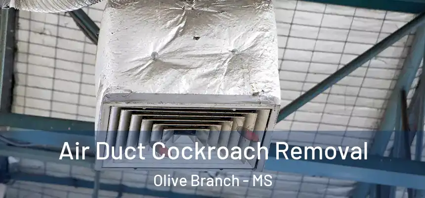  Air Duct Cockroach Removal Olive Branch - MS