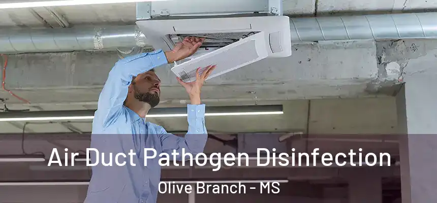  Air Duct Pathogen Disinfection Olive Branch - MS