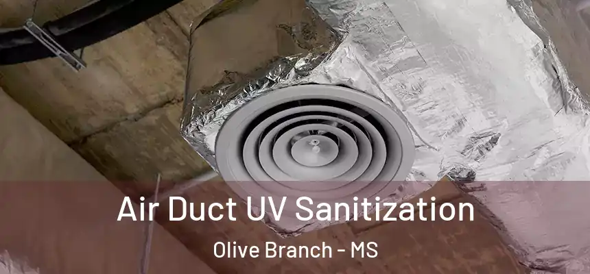  Air Duct UV Sanitization Olive Branch - MS