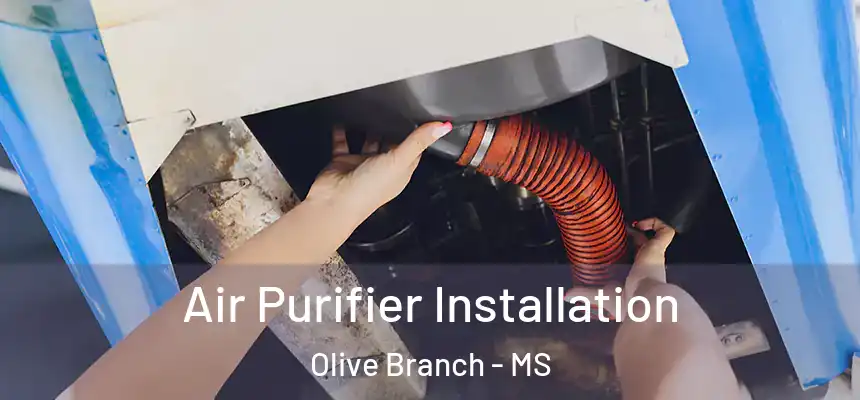  Air Purifier Installation Olive Branch - MS