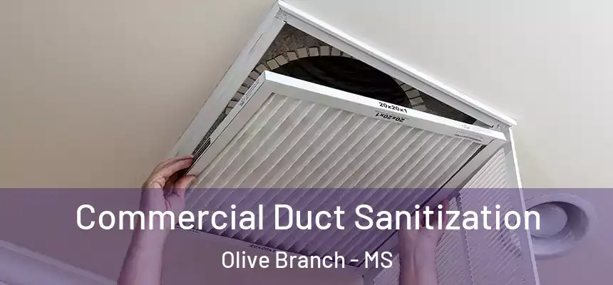 Commercial Duct Sanitization Olive Branch - MS
