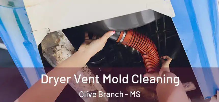  Dryer Vent Mold Cleaning Olive Branch - MS