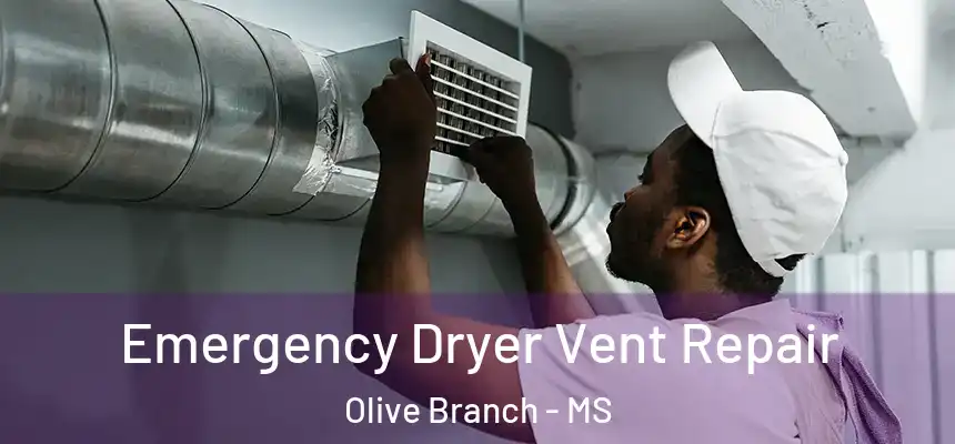  Emergency Dryer Vent Repair Olive Branch - MS