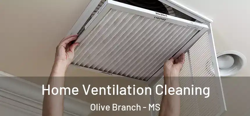  Home Ventilation Cleaning Olive Branch - MS