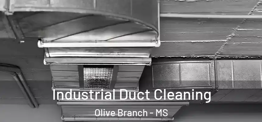 Industrial Duct Cleaning Olive Branch - MS