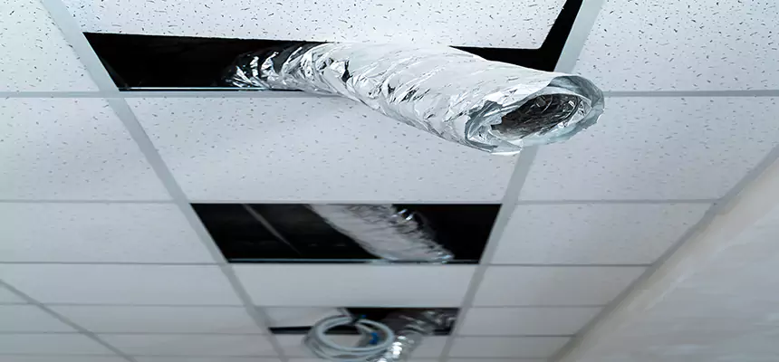 Affordable HVAC Sanitizing After Pest Removal in Olive Branch