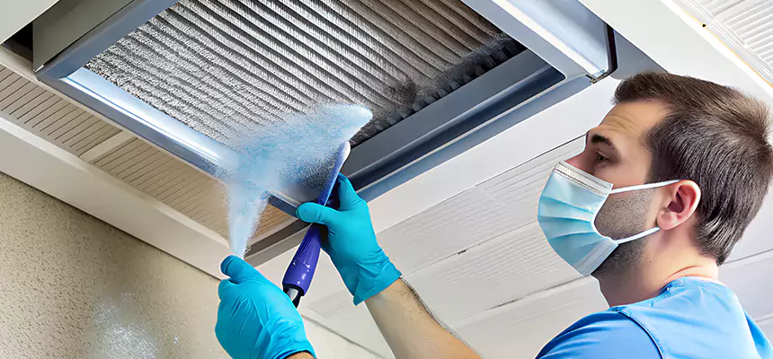 Proactive Dryer Vent & Auxiliary Duct Pollen Cleanup in Olive Branch, MS