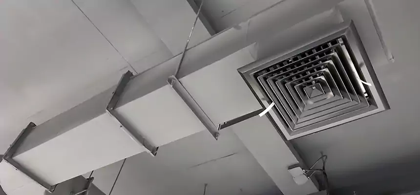 Our Pest Removal From Ducts Services in Olive Branch, MS