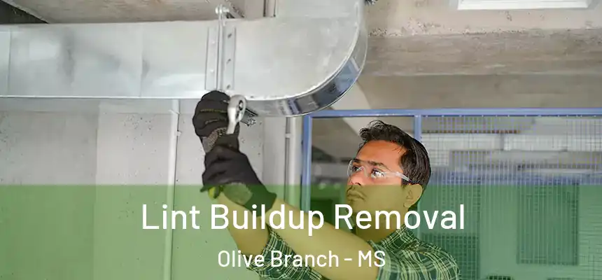  Lint Buildup Removal Olive Branch - MS
