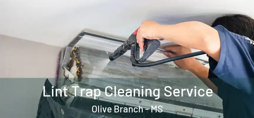  Lint Trap Cleaning Service Olive Branch - MS