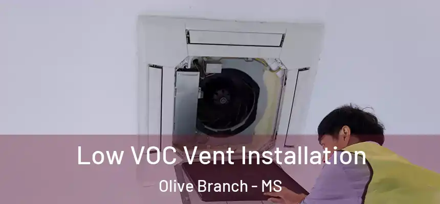  Low VOC Vent Installation Olive Branch - MS