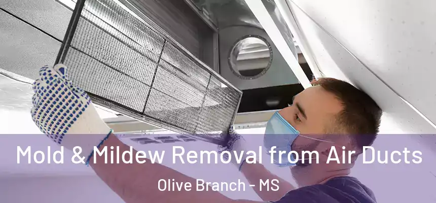 Mold & Mildew Removal from Air Ducts Olive Branch - MS
