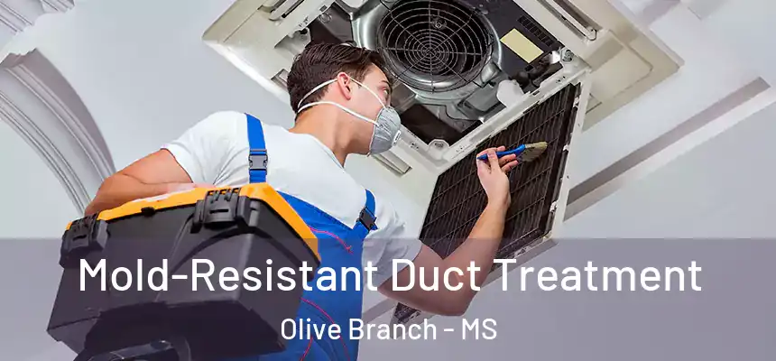 Mold-Resistant Duct Treatment Olive Branch - MS