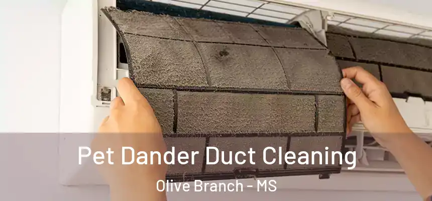 Pet Dander Duct Cleaning Olive Branch - MS