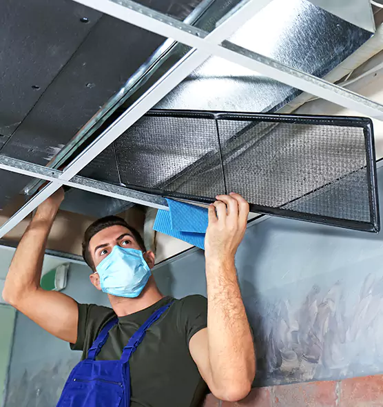 About Air Duct Bacteria Removal in Olive Branch
