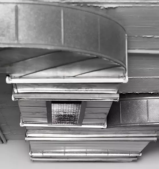 Professional Air Duct Pest Removal in Olive Branch, MS