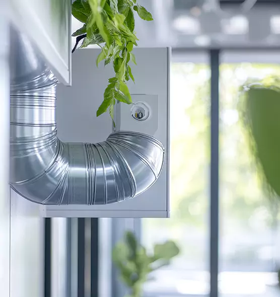 Professional Eco-Friendly Duct Cleaning Services in Olive Branch, MS