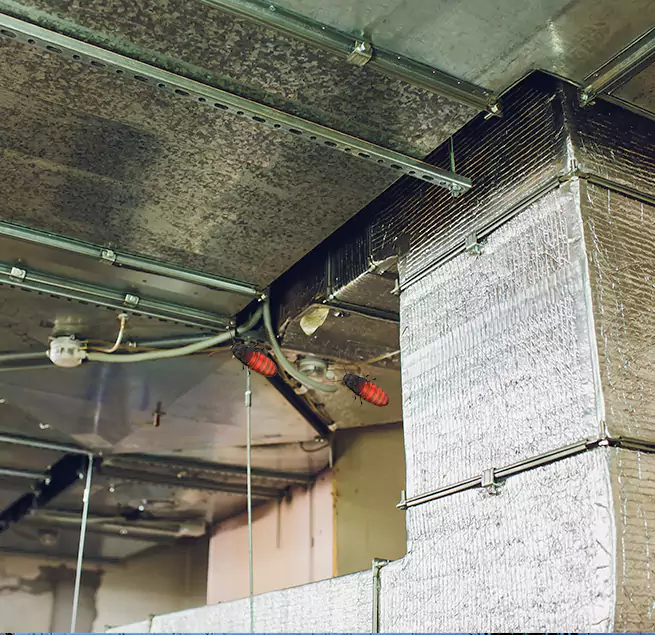 Why Homeowners & Businesses Trust Us in Olive Branch, MS?