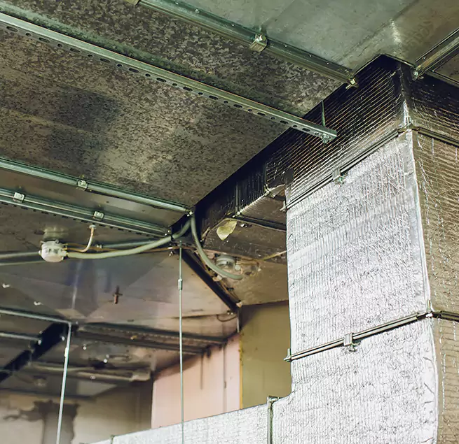 Why Homeowners & Businesses Trust Us in Olive Branch, MS?