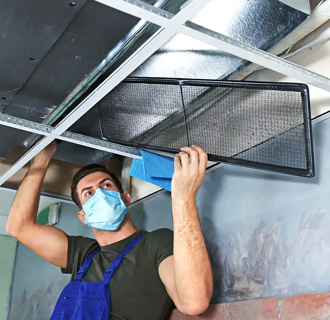 Why Homeowners & Businesses Trust Us in Olive Branch, MS?