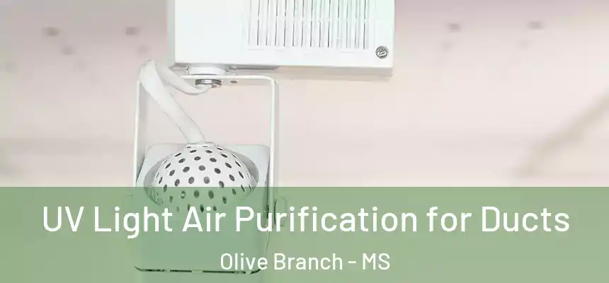  UV Light Air Purification for Ducts Olive Branch - MS