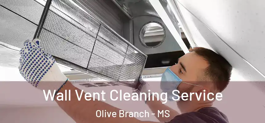 Wall Vent Cleaning Service Olive Branch - MS